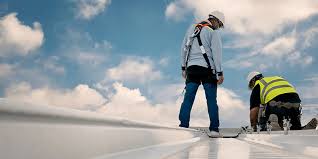 Best Roof Inspection  in Louisa, VA